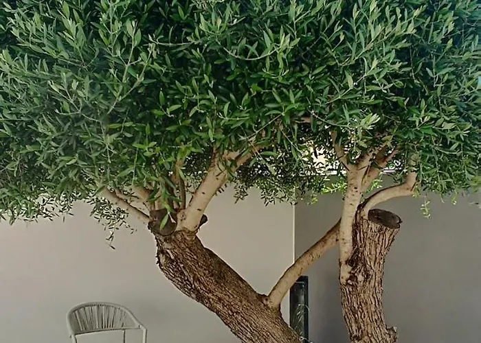 Villa Maison De Sophie